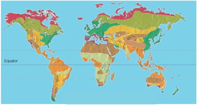 <strong>The dark pink color at the top of this picture represents the ____ biome.  </strong> A)temperate deciduous forest B)chaparral C)tundra D)temperate grassland E)boreal forest <div style=padding-top: 35px> 