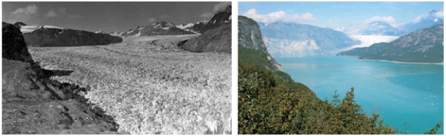 <strong>The photos of the Muir Glacier taken in 1941 (left)and 2004 (right)demonstrate the consequences of____.    </strong> A)deforestation B)biological magnification C)acid rain D)ozone destruction E)global climate change <div style=padding-top: 35px> 