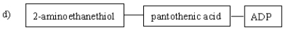 <strong>Which of the following diagrams gives the correct identities and arrangement of the structural subunits in coenzyme A? </strong> A) A B) B C) C D) D