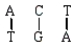 <strong>Which of the following is a correct base pairing sequence between a codon and anticodon?</strong> A) B) C) D)