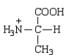<strong>Which of the following forms of the amino acid alanine (Ala) is the zwitterion form of this amino acid?</strong> A) B) C) D)
