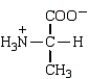 <strong>Which of the following forms of the amino acid alanine (Ala) is the zwitterion form of this amino acid?</strong> A) B) C) D)