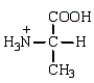 <strong>In a solution that is highly acidic (low pH), which of the following forms of the amino acid alanine (Ala) would predominate?</strong> A) B) C) D)
