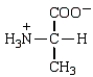 <strong>In a solution that is highly acidic (low pH), which of the following forms of the amino acid alanine (Ala) would predominate?</strong> A) B) C) D)