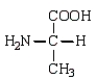 <strong>In a solution that is highly acidic (low pH), which of the following forms of the amino acid alanine (Ala) would predominate?</strong> A) B) C) D)