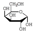 <strong>Which of the following structures represents a \beta -monosaccharide?</strong> A) B) C) D)