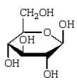 <strong>Which of the following structures represents a \beta -monosaccharide?</strong> A) B) C) D)