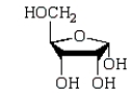 <strong>Which of the following structures represents a \beta -monosaccharide?</strong> A) B) C) D)