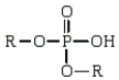 <strong>Which of the following is the general formula for a phosphate monoester?</strong> A) B) C) D)