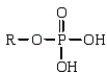 <strong>Which of the following is the general formula for a phosphate monoester?</strong> A) B) C) D)