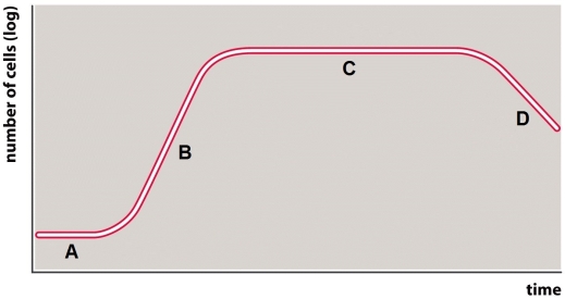 Use the figure below to answer the following questions. What part of the growth curve is the region where number of living cells is increasing exponentially?