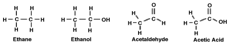 <strong>Consider the following molecules. What is the relationship between the degree to which the molecule is oxidized and its polarity? </strong> A) The greater the degree of oxidation, the more polar the molecule. Therefore, acetic acid is both the most oxidized and the most polar. B) The greater the degree of oxidation, the less polar the molecule. Therefore, ethane is both the most oxidized and the least polar. C) Only acetaldehyde and acetic acid are oxidized and polar because they contain a double-bonded carbon-oxygen bond, C=O. Of the two, acetaldehyde is more polar. D) There is no correlation between degree to which a molecule is oxidized and its polarity.