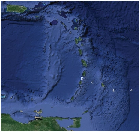 Use this figure for the following questions: The figure above shows a popular area for North American tourists in winter,the Caribbean region.Match the term to the letter on the Figure. Island arc
