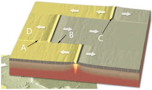 Identify the letter corresponding to the Transform plate boundary in the figure below: