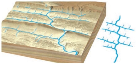<strong>The Trellis drainage pattern shown below develops ________. </strong> A)in areas of relatively uniform surface materials B)on isolated volcanic cones or domes C)on highly jointed bedrock D)in areas of alternating weak and resistant bedrock E)in areas of folded and fractured domes