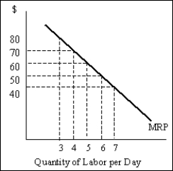 <strong>Exhibit 13-2 Refer to Exhibit 13-2.The MRP curve for labor for the competitive firm is negatively sloped because</strong> A)the firm can sell more units only at lower prices. B)of all the reasons listed here. C)the marginal product of labor curve is negatively sloped. D)at lower prices,the demand for labor increases. E)of increasing returns to labor.
