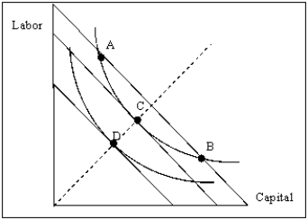 Exhibit 8A-1 -Refer to Exhibit 8A-1.A cost-minimizing firm would prefer producing at point C to producing at