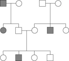 <strong>What type of inheritance fits the data in this pedigree? </strong> A) sex-linked dominant B) autosomal recessive C) autosomal dominant