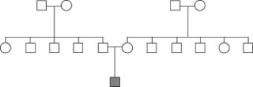 <strong>What is the most likely explanation for the occurrence of an X-linked genetic disorder in the boy at the bottom of the pedigree shown? </strong> A) The boy inherited this allele from his father only. B) The boy inherited this allele from his mother only. C) The boy inherited the kind of allele that skips every other generation. D) The boy has a new mutation for the disorder.