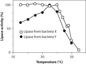 Lipase is an enzyme released by the pancreas that digests fats in the small intestine; however, lipase is also found in bacteria. Researchers examined lipase function in two species of bacteria, species X and species Y. Data regarding the activity of lipase as a function of temperature are shown below for the lipase from bacteria X (white circles) and the lipase from bacteria Y (black circles). Use this information to answer the following three questions. Lipase activity as a function of temperature. -What can you conclude from data in the figure?