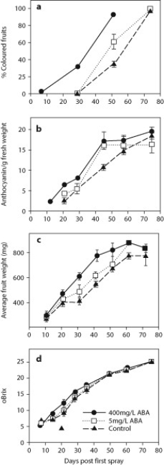 Ethylene triggers the ripening of fruit for many plant species but does not seem to play an important role for the ripening of grapes. Scientists hypothesized that the trigger for the ripening of grape fruits is abscisic acid (ABA). They sprayed unripe Cabernet Sauvignon grapes with different concentrations of ABA and tracked several fruit characteristics over time: percent of fruits that are purple, concentration of anthocyanin (a purple pigment) per fruit, weight of each fruit, and total soluble solids per fruit as measured by °Brix. °Brix measurements indicate the amount of sugar in the fruit, and determine how much alcohol a wine will have. Higher values of each measurement indicate a greater degree of ripening. The scientists' results are shown in these four graphs.    Source: Wheeler, S., Loveys, B., Ford, C., & Davies, C. (2009). The relationship between the expression of abscisic acid biosynthesis genes, accumulation of abscisic acid and the promotion of Vitis vinifera L. berry ripening by abscisic acid. Australian Journal of Grape and Wine Research, 15(3), 195-204. -The visual indicator for grape ripening is the color of the fruit. Does adding ABA appear to speed up the ripening of grape fruit?