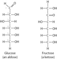 <strong>These two molecules are structural isomers. What is the difference between them? </strong> A) the number of carbon atoms B) the number of hydrogen atoms C) the location of a double-bonded oxygen atom D) Only one of them has a double bond between carbon atoms.