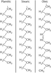 Following are the structures of three fatty acids: palmitic acid, stearic acid, and oleic acid. What combination of these fatty acids could you use to make a fat that is liquid at room temperature?