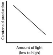 <strong>When microbes are in the dark, they do not produce molecules called carotenoids because the PR proteins are bound to DNA. In the light, however, carotenoids are produced because the PR proteins unbind the DNA. Which of the following graphs best summarizes these statements about carotenoid production in microbes?</strong> A) B) C) D)