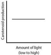 <strong>When microbes are in the dark, they do not produce molecules called carotenoids because the PR proteins are bound to DNA. In the light, however, carotenoids are produced because the PR proteins unbind the DNA. Which of the following graphs best summarizes these statements about carotenoid production in microbes?</strong> A) B) C) D)