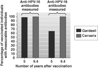 <strong>Scientists measured whether individuals who had been vaccinated with anti-HPV vaccines (Gardasil and Cervarix) had detectable levels of anti-HPV antibodies in their blood many years after receiving the vaccines. The data are shown here. Based only on these data, which of the following policy recommendations would you make to the United States Center for Disease Control and Prevention (the agency that sets vaccination schedules) regarding anti-HPV vaccines? </strong> A) Individuals who are vaccinated with Cervarix will never need a booster shot even 30 years after initially being vaccinated. B) Gardasil protects against HPV-related cancer better than Cervarix, so individuals should be vaccinated with Gardasil and not Cervarix. C) After many years, Cervarix is about twice as effective at preventing HPV-related cancer than Gardasil, so individuals should be vaccinated with Cervarix and not Gardasil. D) If people are vaccinated with Gardasil, they may need a booster shot in the future to maintain high levels of protection from HPV-related cancers.