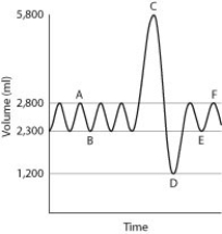 Physicians routinely give their patients pulmonary function tests in order to measure characteristics of lung function. The most common of these tests, spirometry, measures both the volume and the speed of air entering and exiting the lungs. In this test, a person first breathes normally while breathing into a spirometer, a machine that measures air volume and air speed. Then the person takes the deepest breath possible and exhales as hard as possible for 6 seconds into the spirometer. The resulting data are plotted on a graph of volume (y axis) versus time (x axis). Spirometry is useful not only for assessing lung function in healthy patients but also for characterizing patients with lung conditions such as pulmonary fibrosis, asthma, or emphysema. A sample graph for a healthy adult male is shown below. Normal breathing occurs between points A and B, a maximal inhalation occurs at point C, and a maximal exhalation occurs at point D. Normal breathing resumes between points E and F. -For this data set, how much air is exhaled during a normal breath?