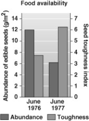 The data in this graph indicate  