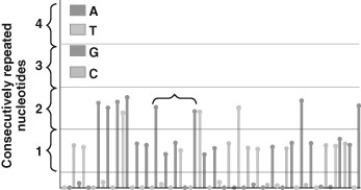 <strong>What sequence is indicated by the data between the brackets? </strong> A) GAGTG B) GGAGTGG C) GGAAGGTTGG D) GAAGGTTG