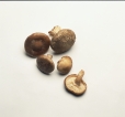 Identify the following mushrooms. Write the mushroom's name next to the photograph. _____________________