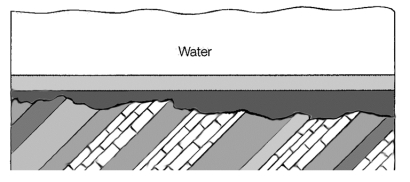 The diagram below illustrates which of the following principles?
