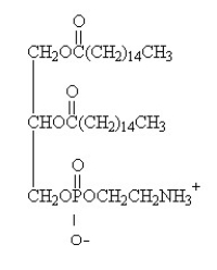 <strong>For the question(s) that follow, identify the class of lipid to which each of the following molecules belongs. </strong> A) glycerophospholipid B) triacylglycerol C) glycosphingolipid D) steroid E) wax