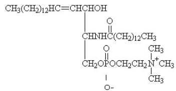 <strong>For the question(s) that follow, identify the class of lipid to which each of the following molecules belongs. </strong> A) sphingolipid B) simple lipid C) bile salt D) triacylglycerol E) prostaglandin