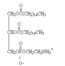 <strong>The components in the following glycerophospholipid are </strong> A) sphingosine, palmitic acid, phosphate, and choline. B) sphingosine, palmitic acid, phosphate, and serine. C) glycerol, palmitic acid, phosphate, and ethanolamine. D) glycerol, palmitic acid, phosphate, and galactose. E) sphingosine, palmitic acid, phosphate, and ethanolamine.