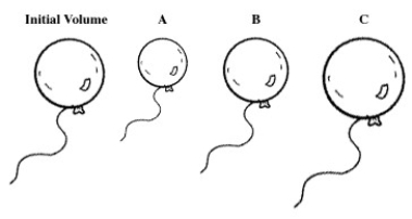 <strong>A balloon is filled with helium gas. For the question(s) that follow, select the letter of the balloon diagram that corresponds to the given change in conditions.   The balloon is put into a chamber whose pressure is less than the atmospheric pressure and at atmospheric temperature.</strong> A)A B)B C)C D)A and B E)B and C <div style=padding-top: 35px> 