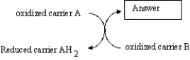 <strong>Which is the best choice for the box labeled Answer in the illustration below? </strong> A)oxidized carrier B B)carbon dioxide C)OH- D)reduced carrier BH2 E)energy