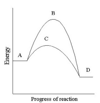 Identify each of the designated regions on the energy diagram for the conversion of a substrate to product with and without an enzyme. -activation energy with the enzyme