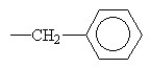 <strong>Which of the following functional groups of an amino acid would be in the ionized state at high pH?</strong> A)O -COH B)-CH2OH C)-CH₃ D)O -CNH2 E)