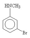 <strong>What is the name of this compound?  </strong> A)1-methyl-5-bromoaniline B)N-methyl-3-bromoaniline C)N-methyl-p-bromoaniline D)1-bromo-3-N-methylamine benzene E)1-bromo-3-N-methyl aniline <div style=padding-top: 35px> 