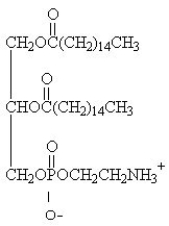 <strong>For the question(s) that follow, identify the class of lipid to which each of the following molecules belongs. </strong> A)glycerophospholipid B)triacylglycerol C)glycosphingolipid D)steroid E)wax