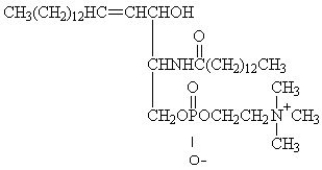<strong>For the question(s) that follow, identify the class of lipid to which each of the following molecules belongs. </strong> A)sphingolipid B)simple lipid C)bile salt D)triacylglycerol E)prostaglandin