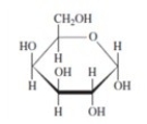 <strong>Galactose has the structure shown below. It can be classified as a(n)  </strong> A)ribose. B)ketose. C)disaccharide. D)monosaccharide. E)ketone. <div style=padding-top: 35px> 