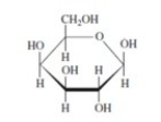 <strong>Galactose has the structure shown below. Which anomer is shown?  </strong> A)the α anomer B)the β anomer C)the D anomer D)the L anomer E)none of the above <div style=padding-top: 35px> 