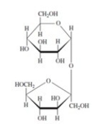 <strong>Refer to the disaccharides below to answer the question(s) that follow.   In the figure above, the monosaccharide unit at the top is a(n)</strong> A)aldopentose. B)ketopentose. C)aldohexose. D)aldoheptose. E)ketohexose. <div style=padding-top: 35px> 