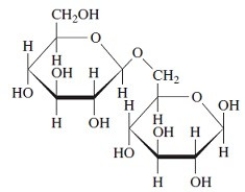 State whether each of these structures is the α- or β-form.  <div style=padding-top: 35px> 