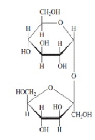<strong>Refer to the disaccharide below to answer the following question(s). In the figure above,the monosaccharide on the top is a(n)________.</strong> A)aldopentose B)ketopentose C)aldohexose D)aldoheptose E)ketohexose